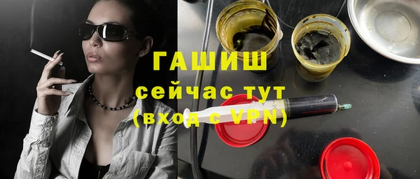 индика Богородск