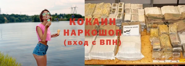 mix Богородицк