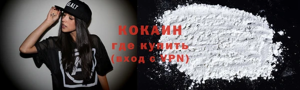 молекула духа Богданович