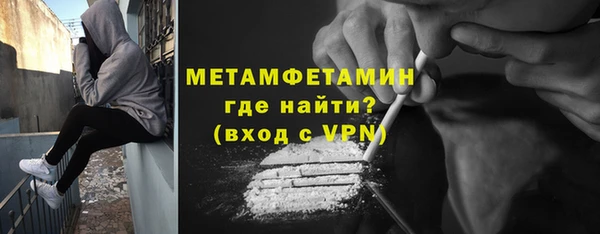 индика Богородск