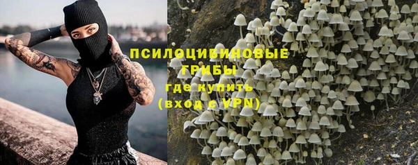 крисы Белокуриха
